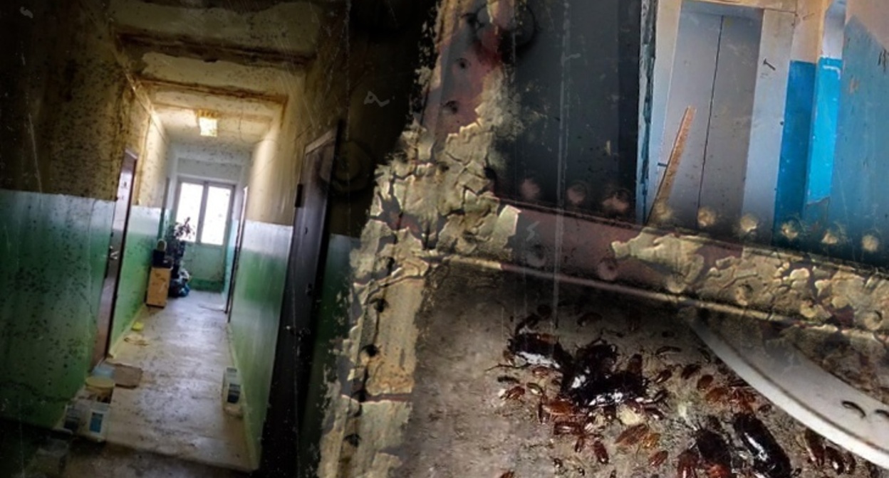 Аварийный дом по улице Сологубова в Волгограде. Фото: ИА "Высота 102" https://v102.ru/news/144140.html